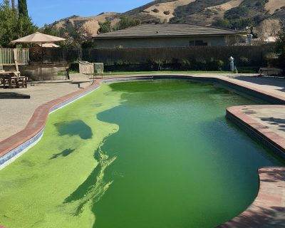 image_fx_swimming_pool_in_california_with_green_algae